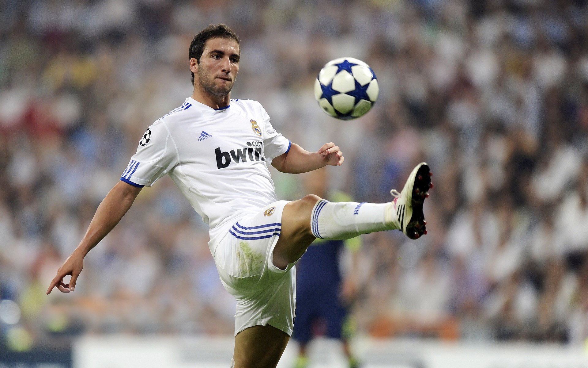 足球明星慈善赛吸引全球关注,足球明星表演赛